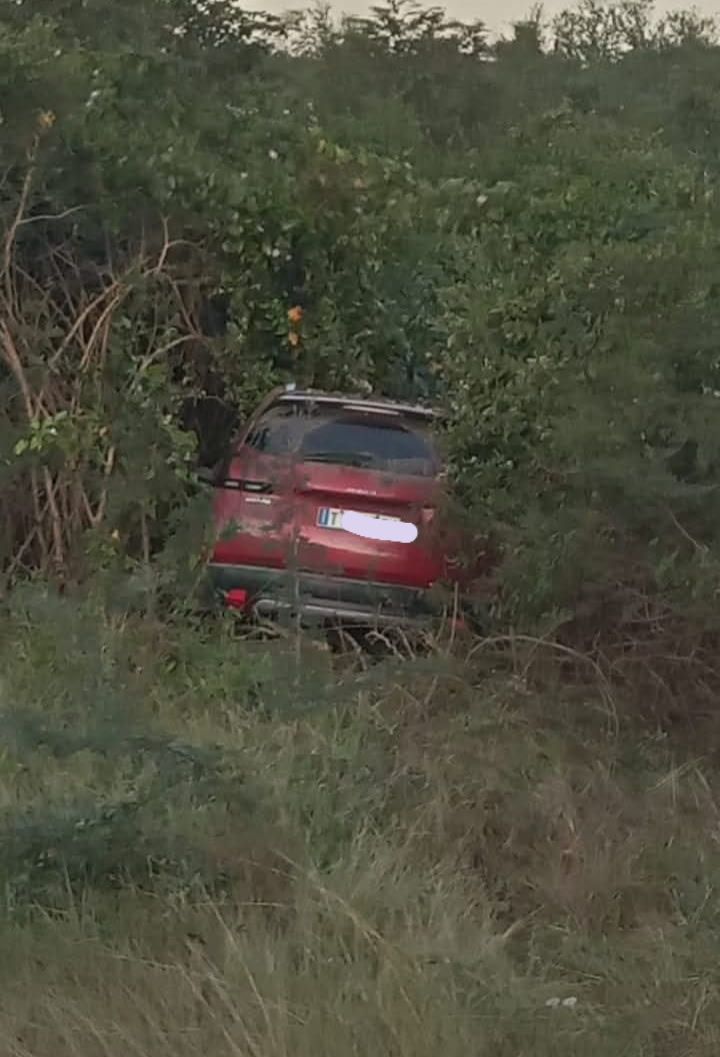 Coche rojo oculto entre arbustos verdes