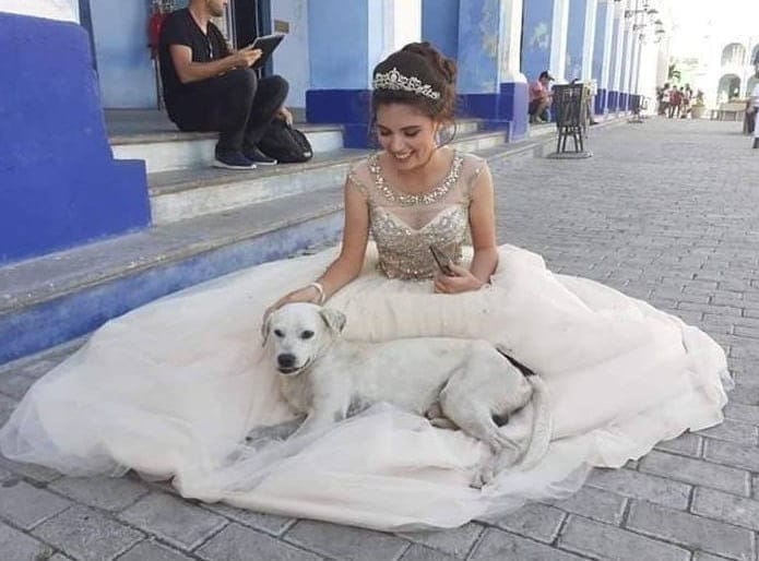 433029495 839987114810310 1423396176976220972 n