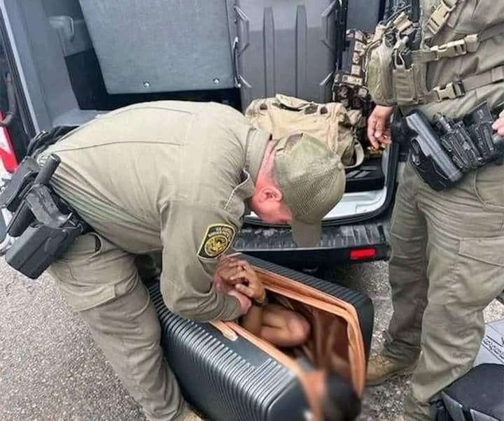 433122656 122166186560023154 4220452257242617334 n