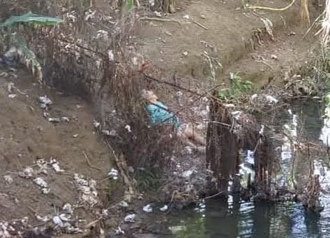 Persona pescando en ribera arbolada y tranquila