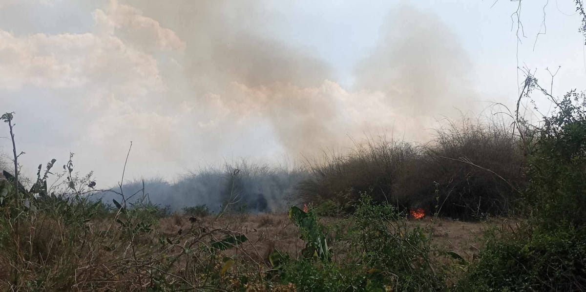 Incendio en Los Cocodrilos alarma a vecinos mientras esperan respuesta de los bomberos