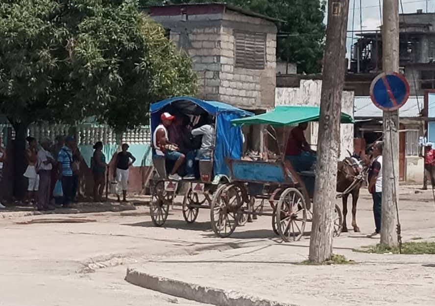 Presunto ataque con machete de un cochero a inspectora tras imposición de multa en Palma Soriano