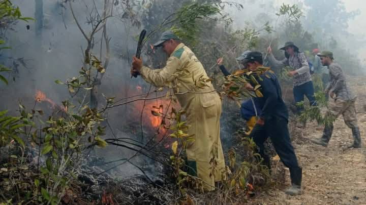 Actualización: Bajo control incendio forestal de grandes proporciones en Pinar del Río tras nueve días de combate