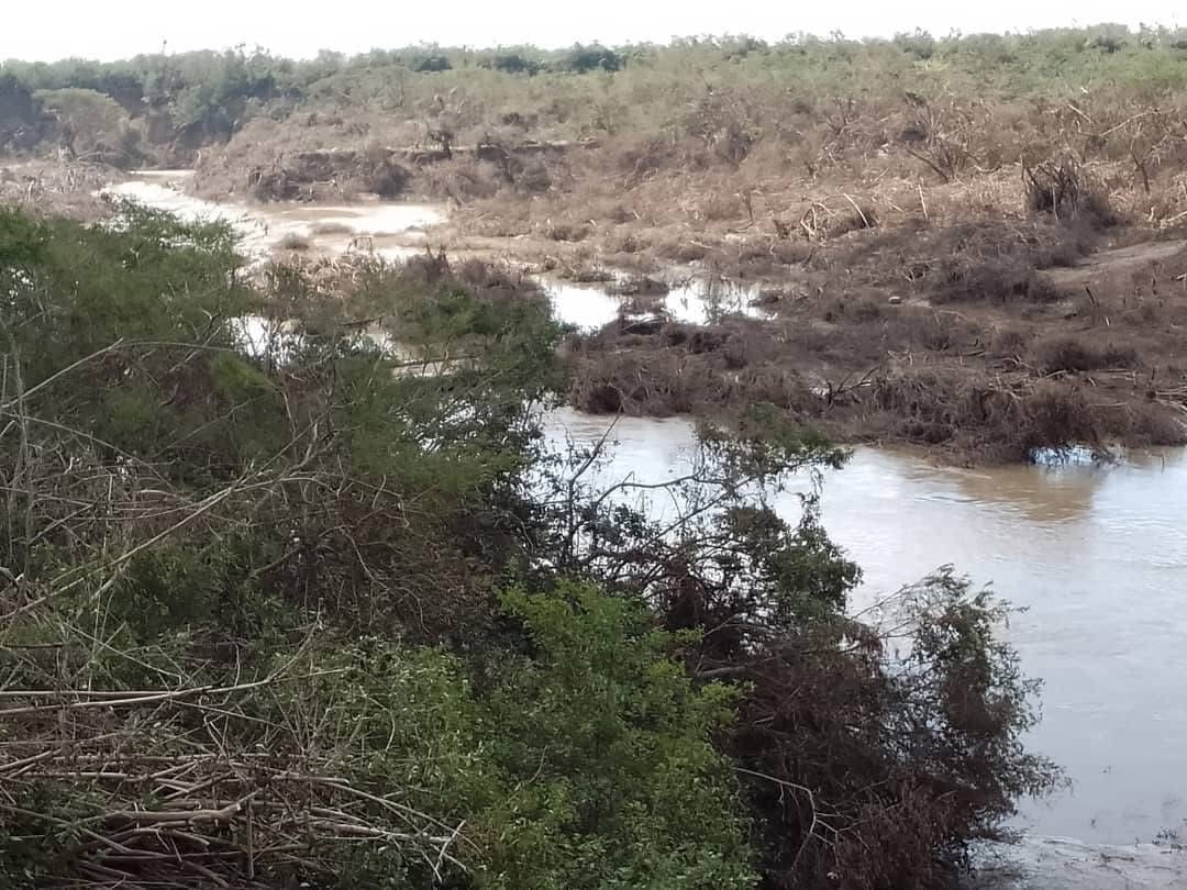 Brigadas de la ECIE llegan a caballo hasta Río Cauto y avanzan en la reparación del sistema eléctrico tras el huracán Melissa