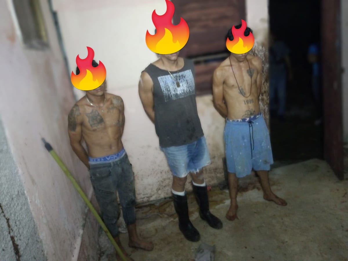 Detenidos tres presuntos matarifes tras una operación conjunta en Guanabacoa