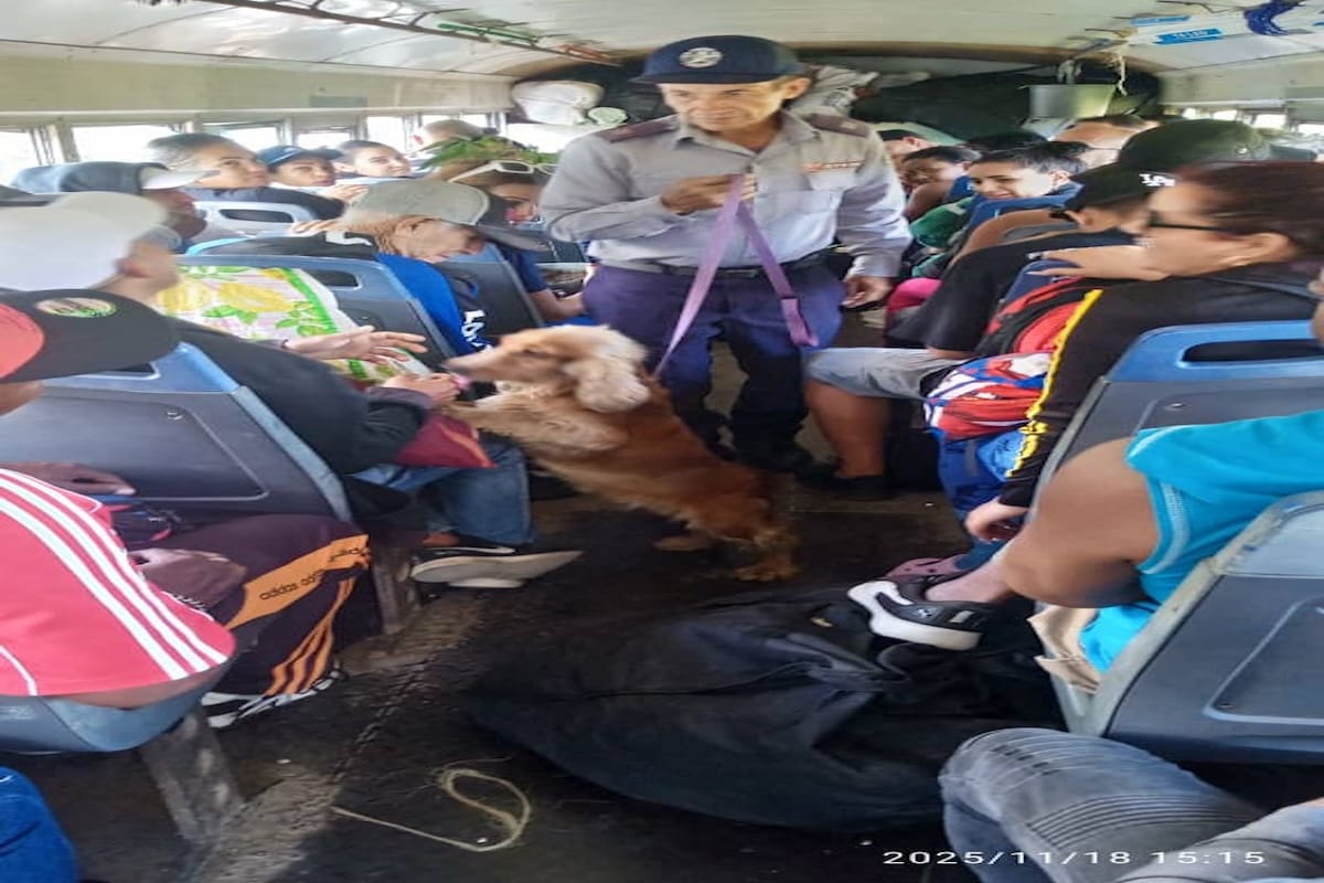 Aumentan las alarmas por circulación de drogas en Cuba tras operativo en la Autopista Nacional