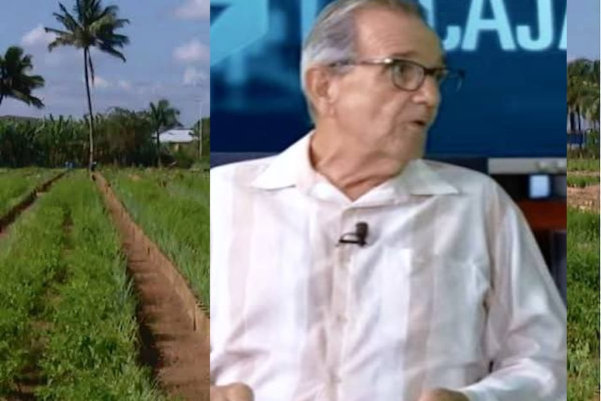 Debate en Cuba tras polémicas palabras de un funcionario sobre identidad alimentaria y consumo de arroz y papas