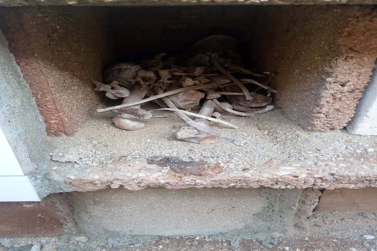 Camagüey: nichos abiertos y restos óseos expuestos en cementerio evidencian abandono y posible falta de control institucional