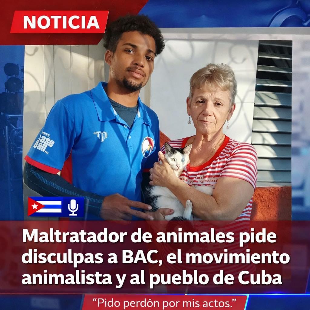 Disculpas públicas tras caso de maltrato animal en Cuba: reacción, arrepentimiento y demandas de acciones concretas