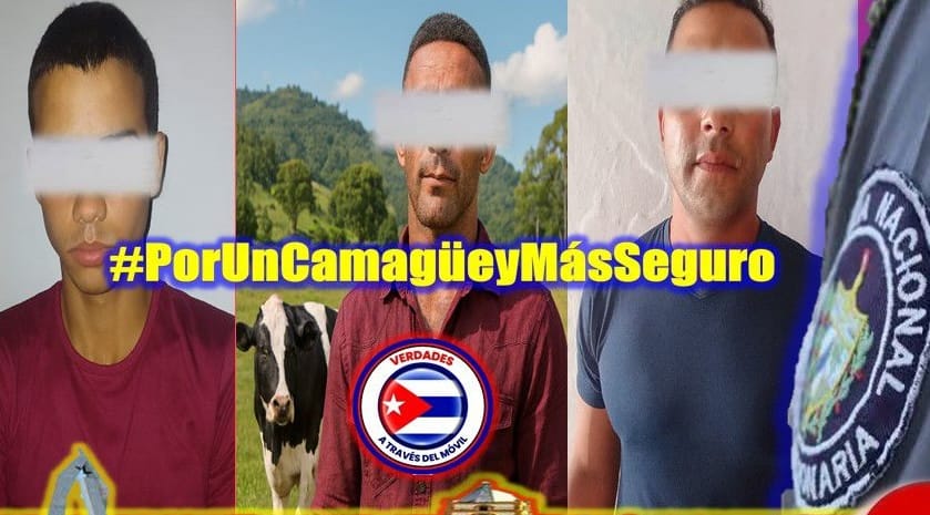 Tres detenidos por robo de ganado en Minas: un síntoma más de la necesidad y el desgaste social en Cuba