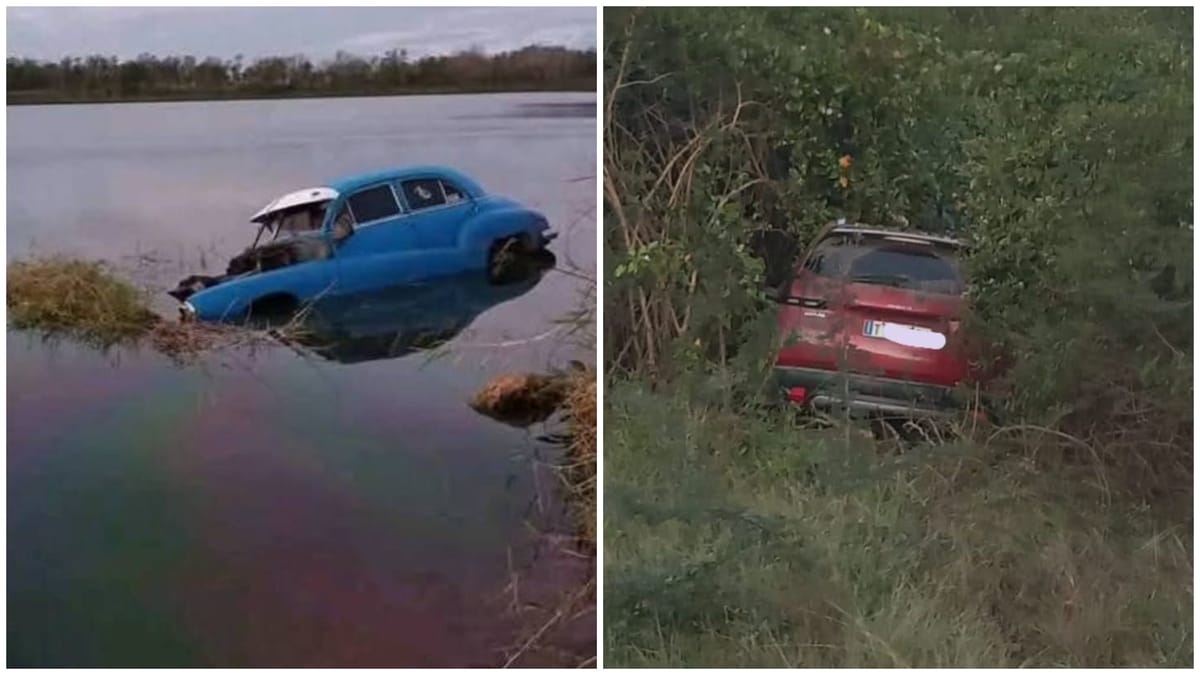 Coche azul en lago y rojo entre arbustos