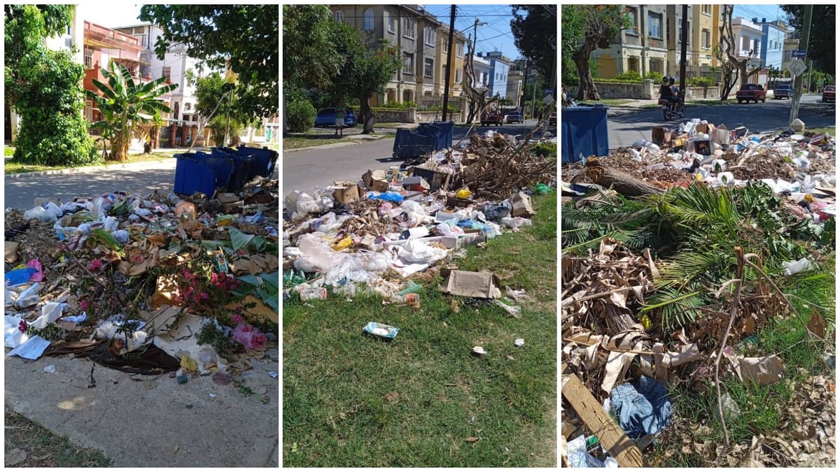 Persisten los problemas de recogida de basura en el Vedado: vecinos denuncian abandono y riesgo sanitario