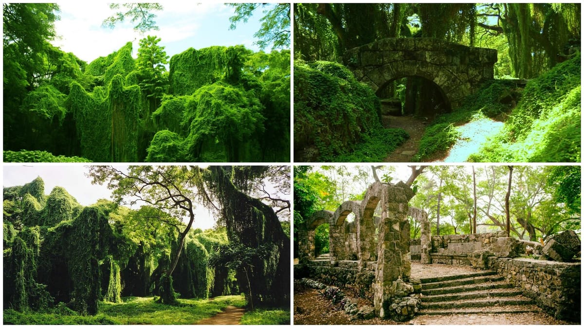 La historia de Josefina y el bosque perdido de La Habana