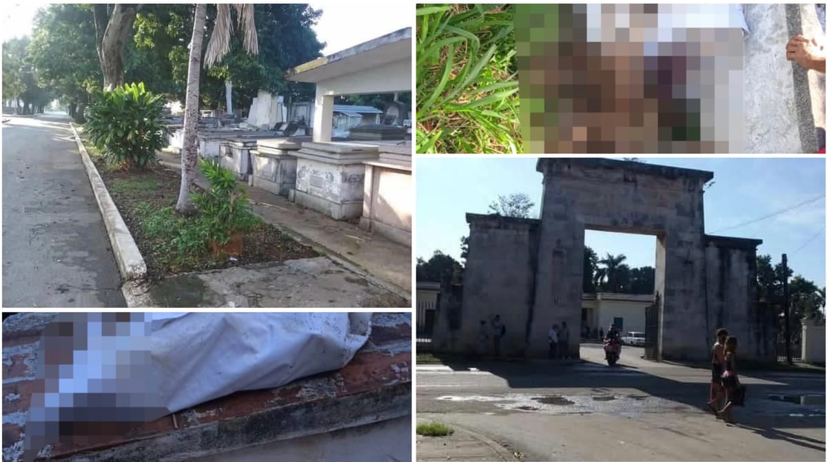 Profanación y caos en el Cementerio de La Lisa: se roban osarios y esparcen restos humanos