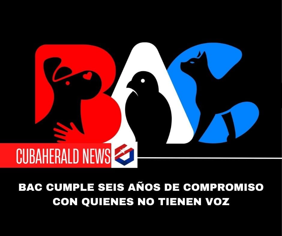 BAC cumple seis años siendo voz de quienes no la tienen