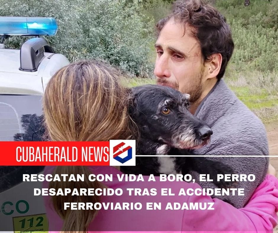 Rescatan con vida a Boro, el perro desaparecido tras el accidente ferroviario en Adamuz