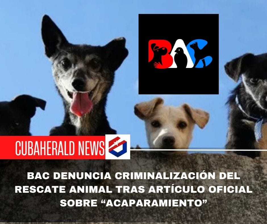 BAC denuncia criminalización del rescate animal tras artículo oficial sobre “acaparamiento”