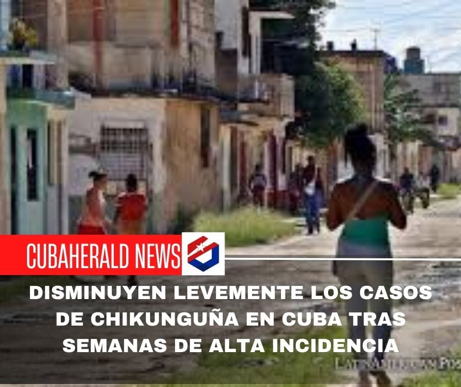 Disminuyen levemente los casos de chikunguña en Cuba tras semanas de alta incidencia
