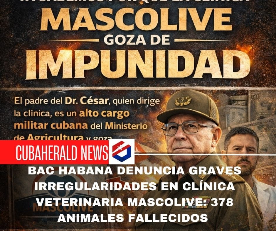 BAC Habana denuncia presuntas irregularidades en la clínica veterinaria Mascolive; señalan más de 370 animales fallecidos
