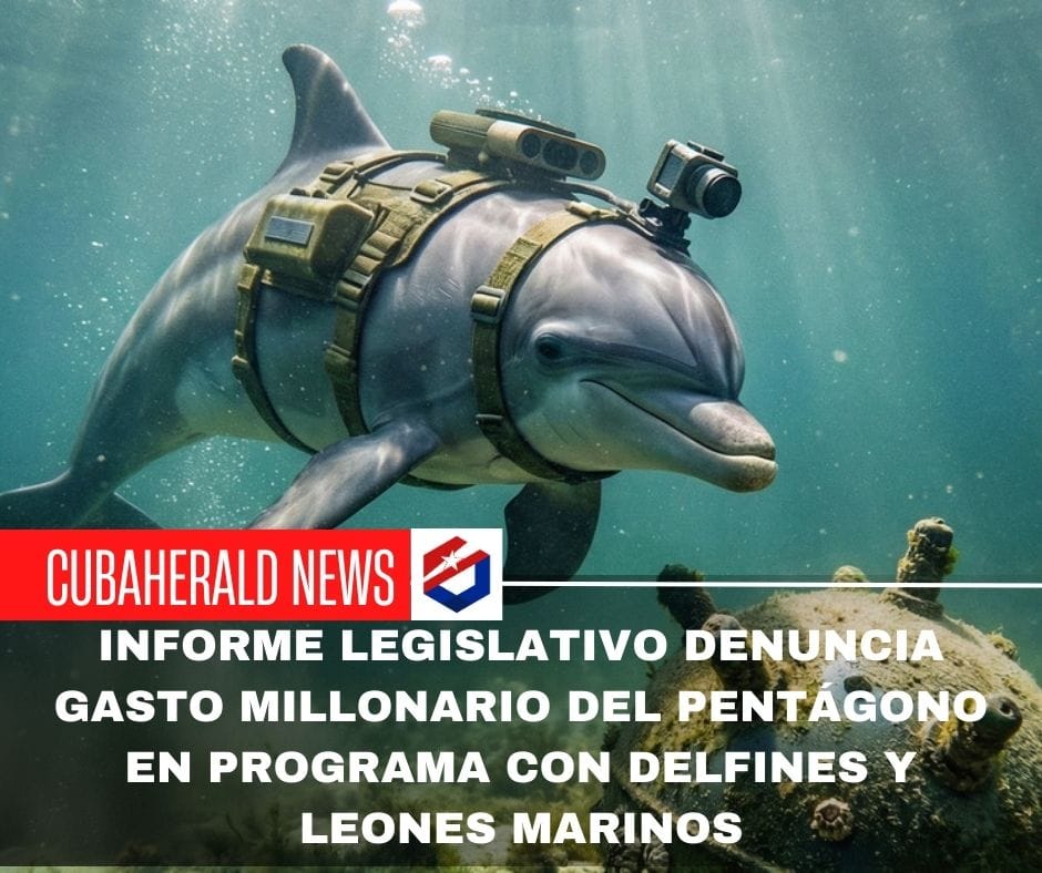 Informe legislativo denuncia gasto millonario del Pentágono en programa con delfines y leones marinos