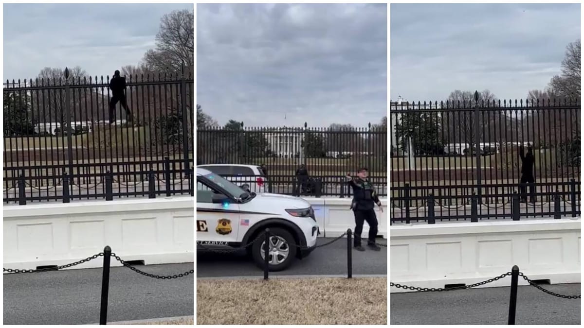 Hombre intenta escalar la valla de la Casa Blanca y es arrestado