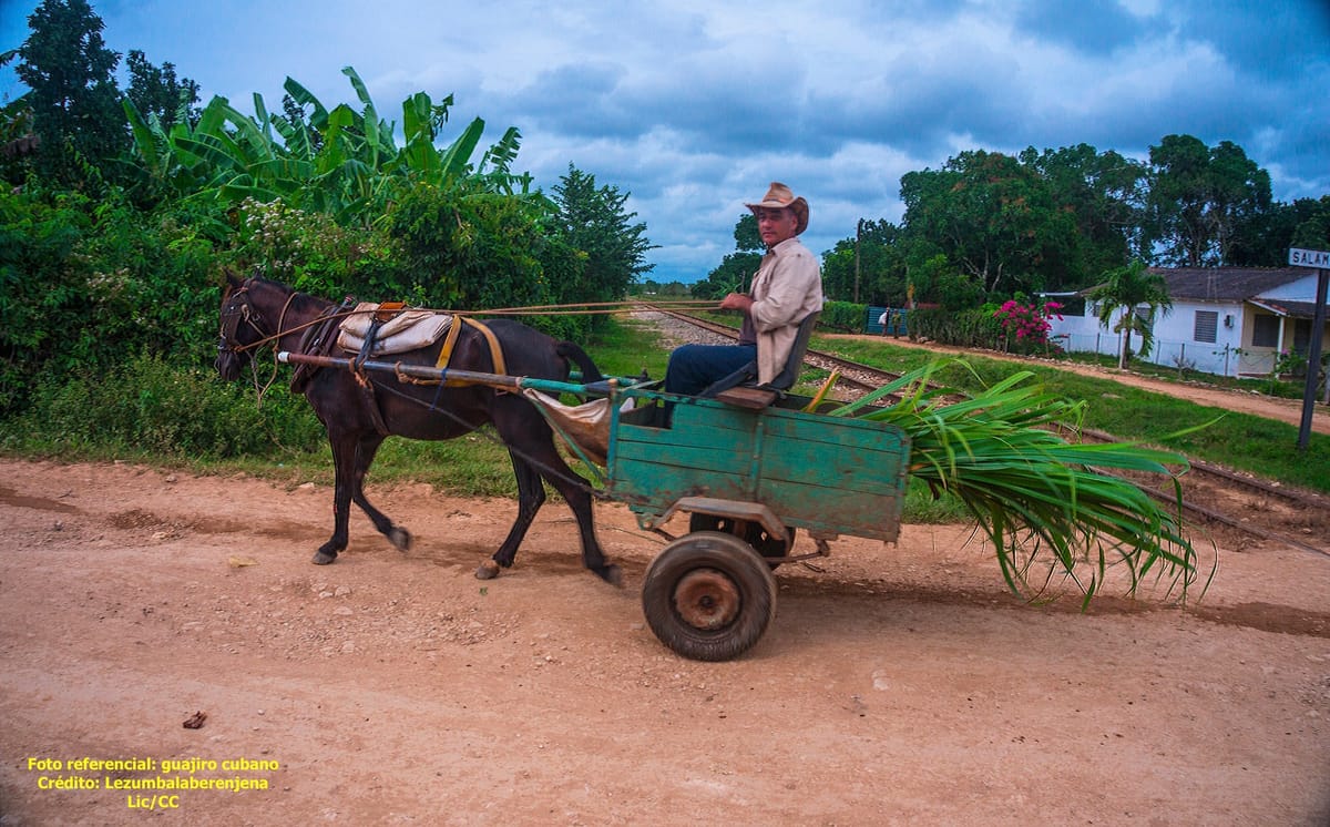 Vecinos del batey Toro Dos, en Vertientes, frustran intento de robo en una vivienda durante la madrugada