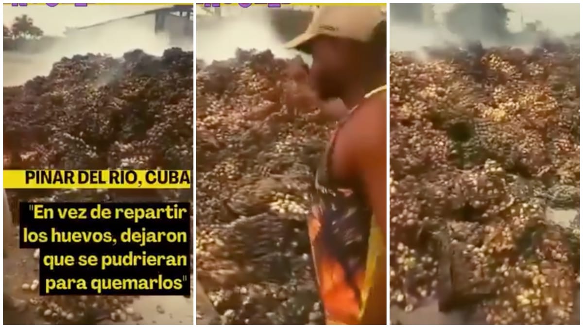 Indignación en redes por quema de huevos en Pinar del Río en lugar de distribuirlos a la población