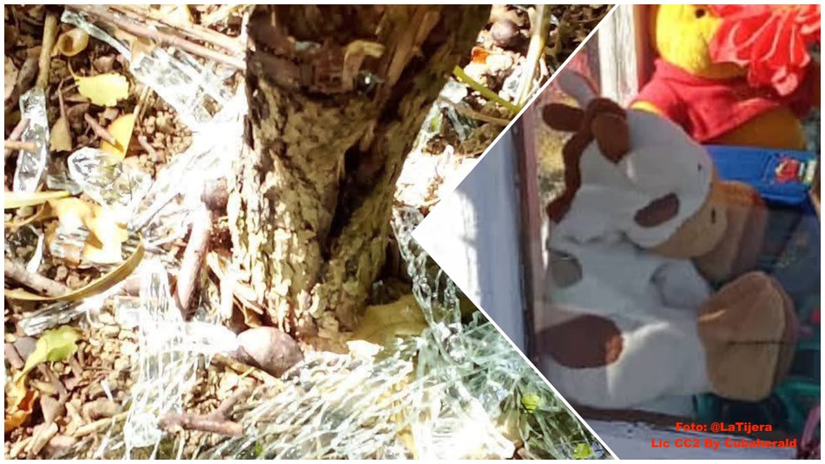 Indignación en Holguín tras la profanación de tumbas infantiles: exigen castigo ejemplar para el responsable