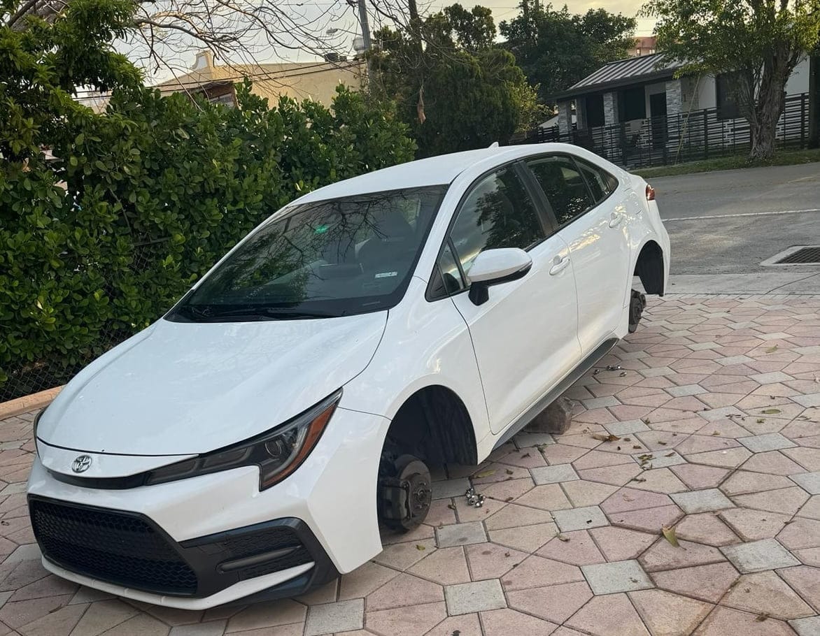 WhatsApp Image 2024 03 21 at 13.09.17