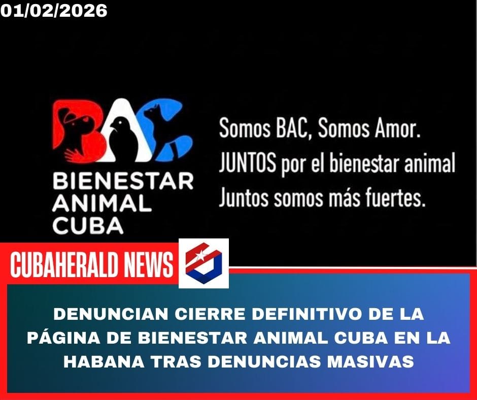 Denuncian cierre definitivo de la página de Bienestar Animal Cuba en La Habana tras denuncias masivas