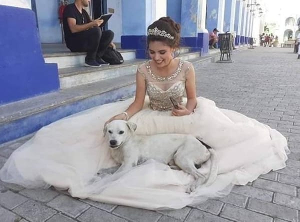 433029495 839987114810310 1423396176976220972 n