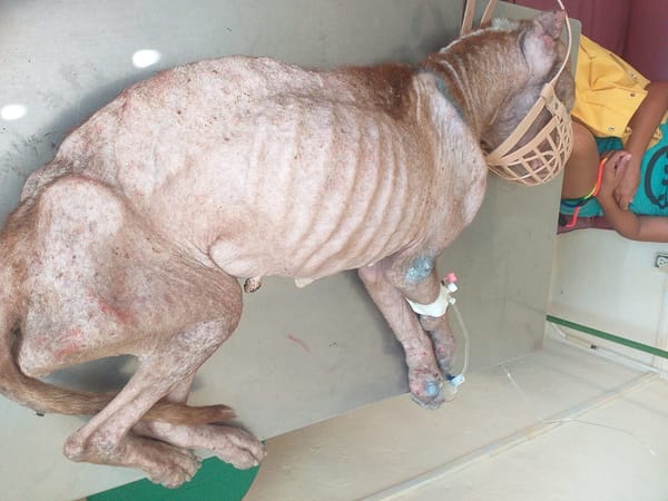 433282292 375394572081440 5996652622187340907 n