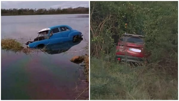 Coche azul en lago y rojo entre arbustos