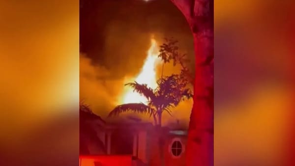 Incendio nocturno iluminando palmeras y edificio