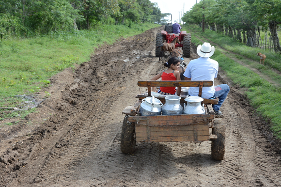 Personas transportando leche en carreta por camino rural