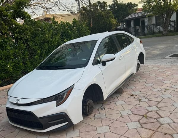 WhatsApp Image 2024 03 21 at 13.09.17