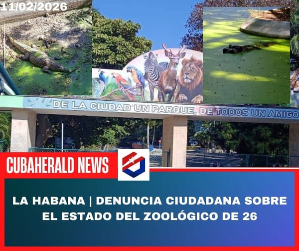 La Habana | Denuncia ciudadana sobre el estado del Zoológico de 26
