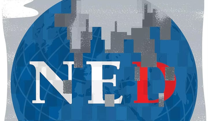 Logotipo NED pixelado sobre un globo azul