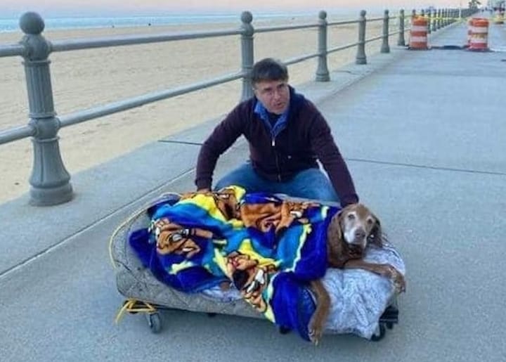 Hombre con perro enfermo en carrito junto al mar