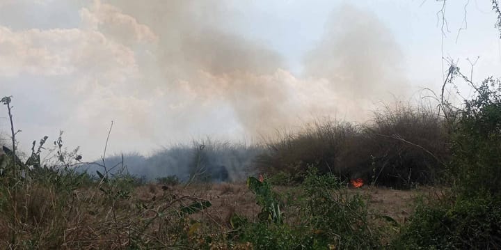 Incendio en Los Cocodrilos alarma a vecinos mientras esperan respuesta de los bomberos