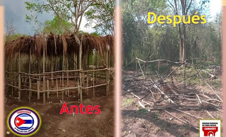 Choza antes y después de ser desmantelada.