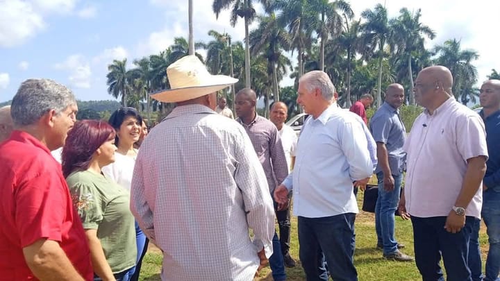 Grupo de personas conversando entre palmeras, cielo despejado.