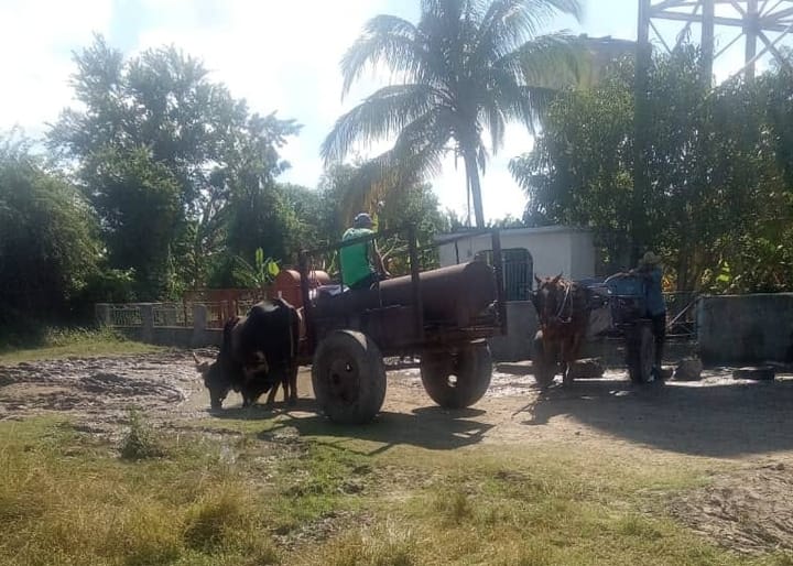 Grave crisis de agua y energía golpea a familias de Omaja mientras aumentan las enfermedades transmitidas por mosquitos