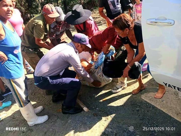 Un hombre resulta lesionado tras caída de una palma en Madre Vieja, Yateras
