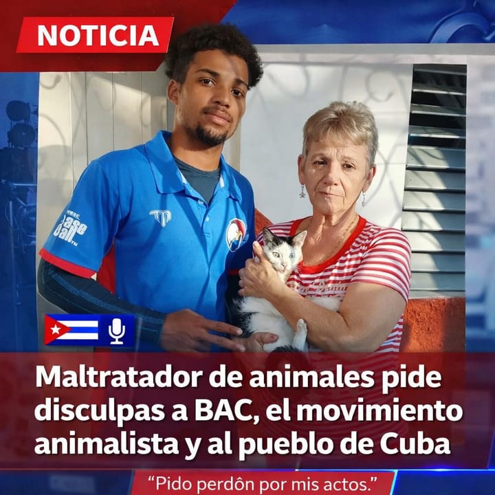 Disculpas públicas tras caso de maltrato animal en Cuba: reacción, arrepentimiento y demandas de acciones concretas