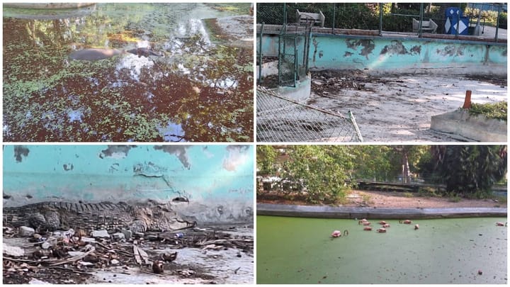 Zoológico abandonado con animales y estanques descuidados.