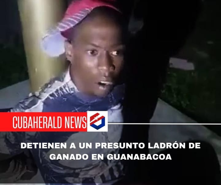 Detienen a un presunto ladrón de ganado en Guanabacoa