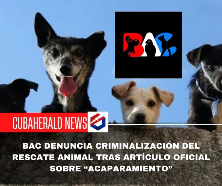 BAC denuncia criminalización del rescate animal tras artículo oficial sobre “acaparamiento”