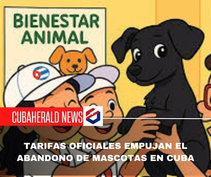 Tarifas oficiales empujan el abandono de mascotas en Cuba