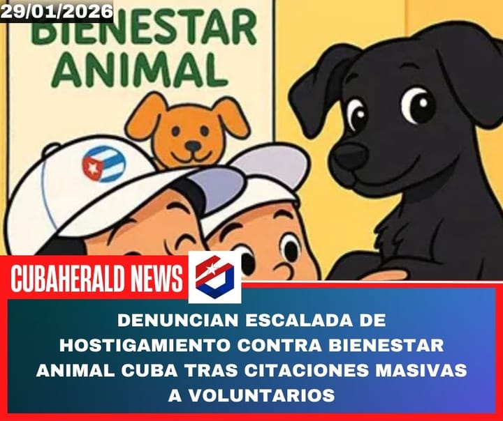 Denuncian escalada de hostigamiento contra Bienestar Animal Cuba tras citaciones masivas a voluntarios